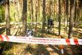 В Тверской области организована проверка по сообщению социальной сети о рубке лесных насаждений