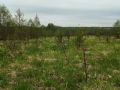 Землевладелец из Калининского округа получил штраф за брошенный участок