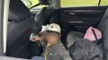 � ���������������� ������ ����� ������� ����� ����������������� ����������� �������� ������