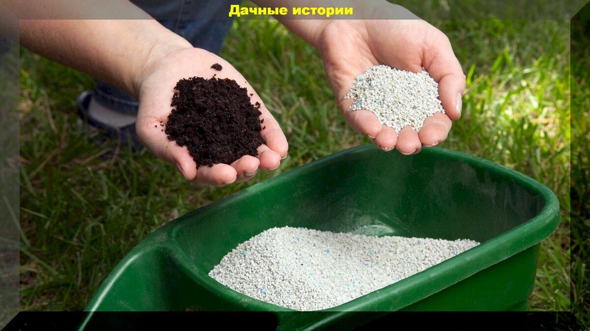 Правильная подкормка растений летом: советы для успешных огородников