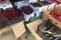 Стала известна причина резкого падения цен на вишню и черешню