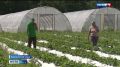 ����� ������ ���������� � �������� ����������� �������� ��� ������