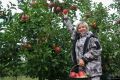 Как садоводство вдохновляет и приносит вызовы: история успеха Ирины Лаврушкиной