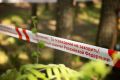 На острове в Тверской области ребенка убило упавшее дерево