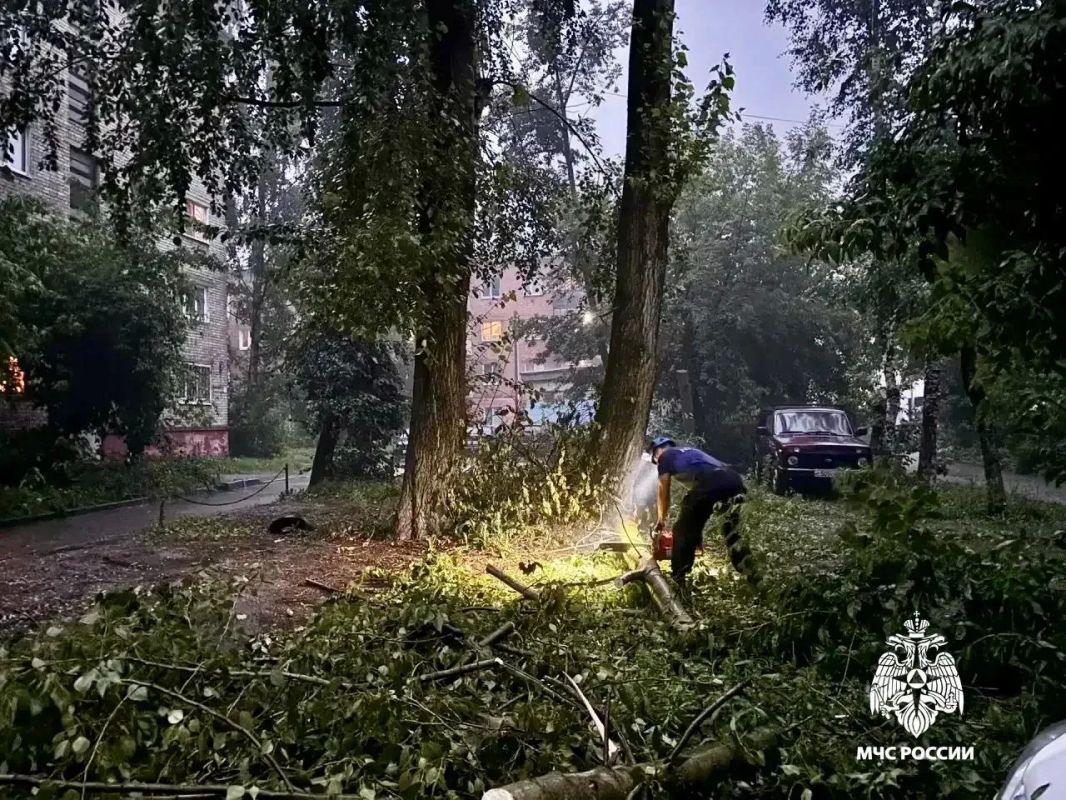 МЧС опубликовало фото и видео последствий нового урагана в Тверской области МЧС опубликовало фото и видео последствий нового урагана в Тверской области