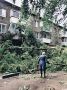В Твери во время урагана вывернутые с корнем деревья ломали столбы и балконы