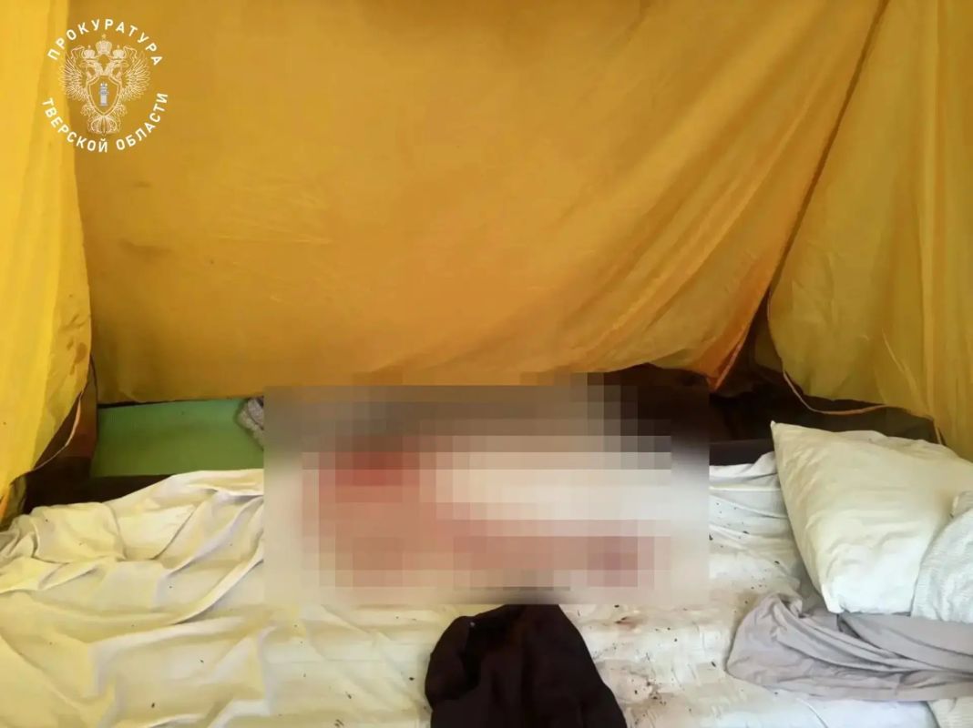 Появились фото с места трагедии в Тверской области, где мальчика убило деревом