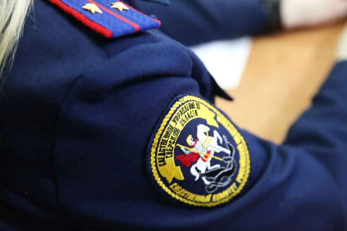 Следователем СК организована проверка размещенных в социальных медиа сведений об отключении электричества в населенном пункте Тверской области