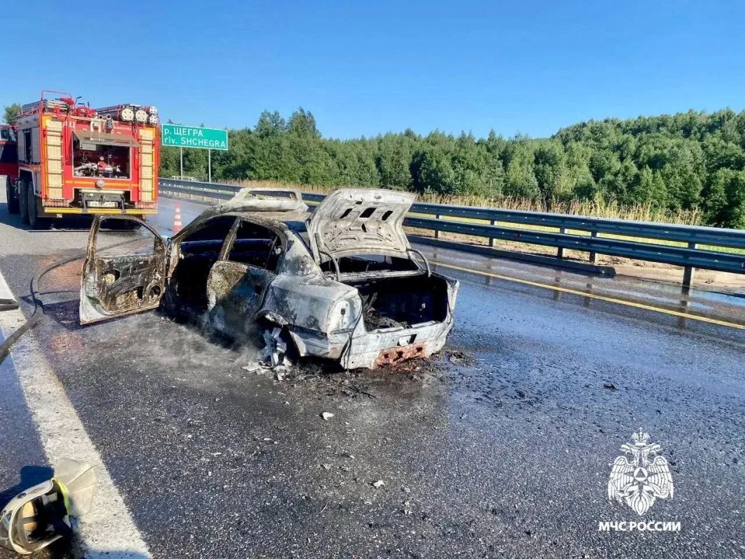 Опубликовано видео с места пожара на М-11 в Тверской области, где сгорела машина Опубликовано видео с места пожара на М-11 в Тверской области, где сгорела машина