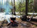 Кулинарный мир кабанов: от традиционных рецептов до изысканных деликатесов