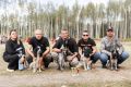 Дипломированные охотничьи собаки сразятся за звание чемпиона в Тверской области