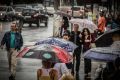 � �������� ������� ������������� ��������� ����� ���