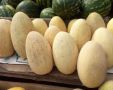 Диетолог объяснила, для кого дыня может быть смертельно опасна