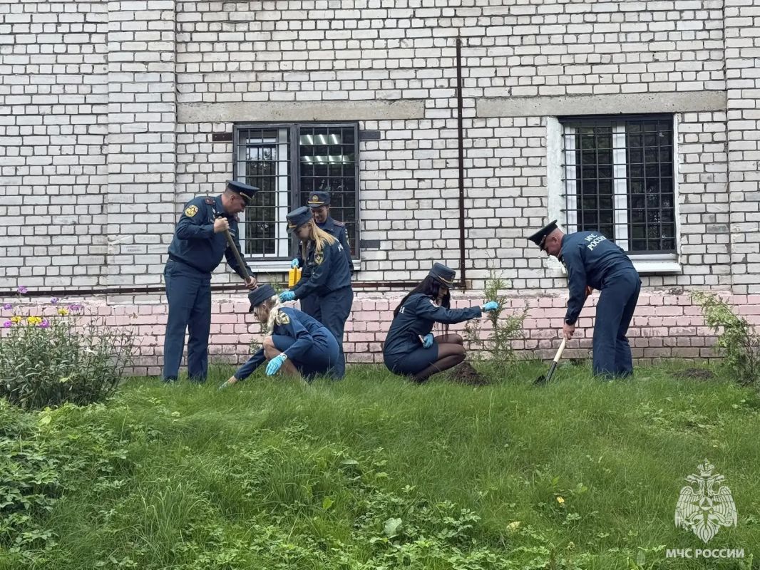 Молодежный совет МЧС России присоединился к акции «Зеленая Россия» Молодежный совет МЧС России присоединился к акции «Зеленая Россия»