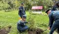 Молодежный совет МЧС Тверской области высадил туи в рамках акции «Зеленая Россия»
