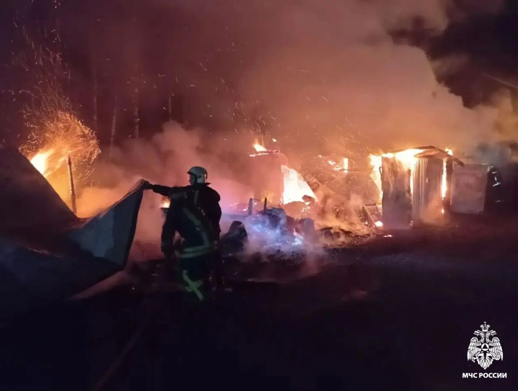 Сегодня ночью произошел пожар в хозяйственном строении в деревне Дмитрово-Черкассы Калининского МО Сегодня ночью произошел пожар в хозяйственном строении в деревне Дмитрово-Черкассы Калининского МО