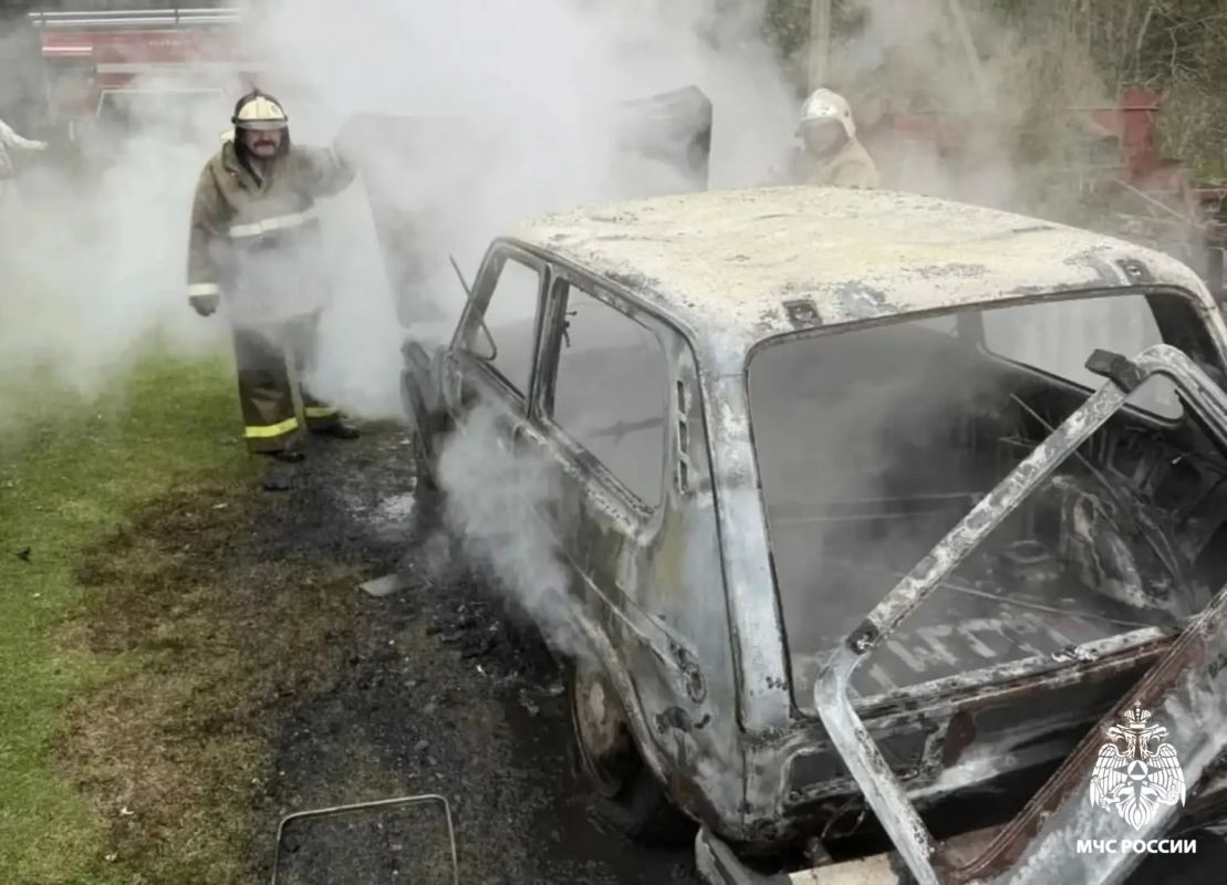 Пожар в автомобиле. Вчера утром произошло возгорание транспортного средства в деревне Сушигорицы Сандовского МО. Возгорание ликвидировано огнеборцами 47 ПСЧ