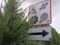 Названы рекомендации для обязательного школьного предмета с 1 по 11 класс