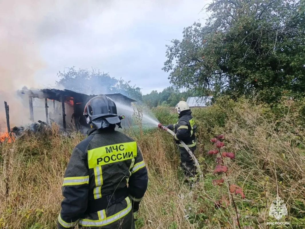 Пожар в нежилом доме. Вчера поступило сообщение о возгорании на улице Ушакова в городе Нелидово Пожар в нежилом доме. Вчера поступило сообщение о возгорании на улице Ушакова в городе Нелидово