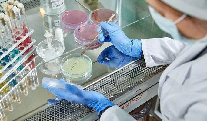 Сальмонеллы обнаружены в пищевой продукции в Твери