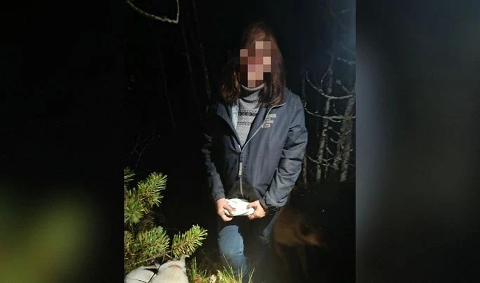 Спасатели вывели женщину с собаками с торфяников под Тверью