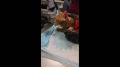 � ����� ��������� ������� ����, �������� ������ ���� �������