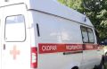 В Тверской области бойцовская собака искусала лицо и почти откусила нос ребенку