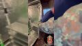 На даче под Тверью сотрудники полиции ликвидировали нарколабораторию и задержали её организатора