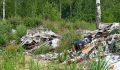 Россельхознадзор потребовал привести в порядок заброшенные сельхозземли под Селижаровом