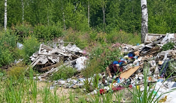 Россельхознадзор потребовал привести в порядок заброшенные сельхозземли под Селижаровом