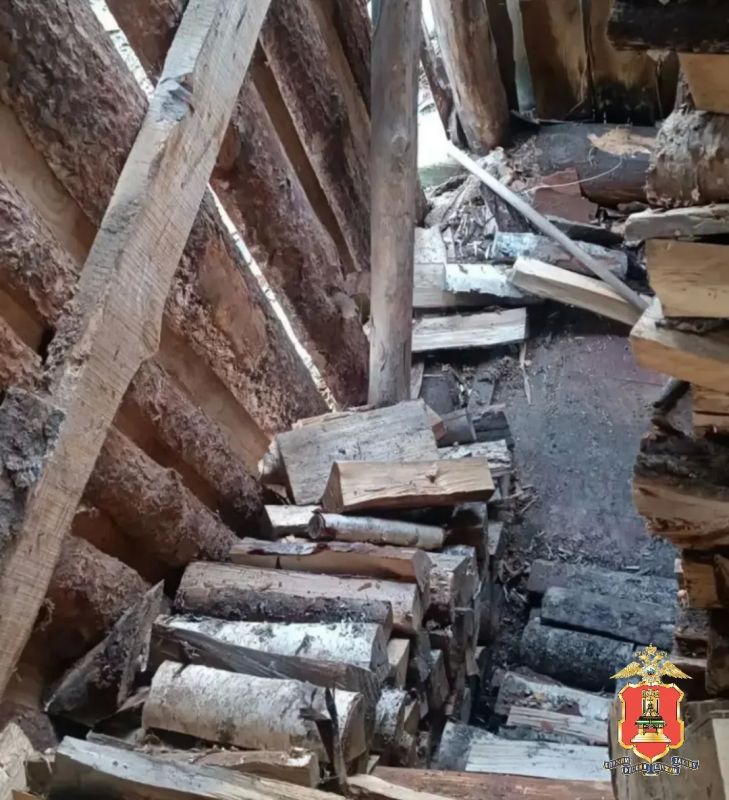 В Максатихе цыганки похищали у соседей дрова В Максатихе цыганки похищали у соседей дрова