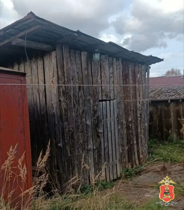 В Максатихе цыганки похищали у соседей дрова В Максатихе цыганки похищали у соседей дрова
