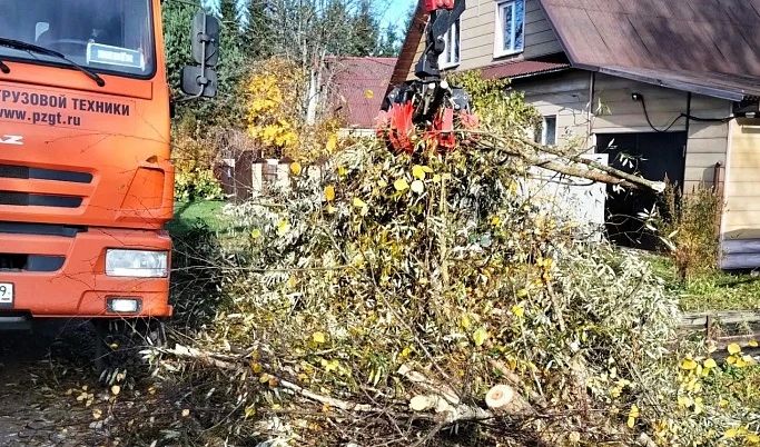 В Калининском округе спилили восемь опасных деревьев