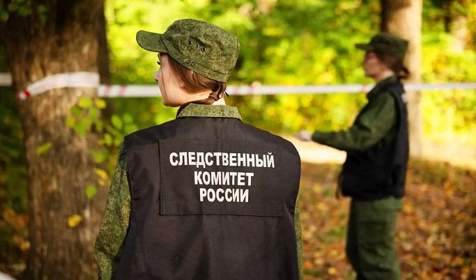 В Красном Холме при пожаре погиб человек