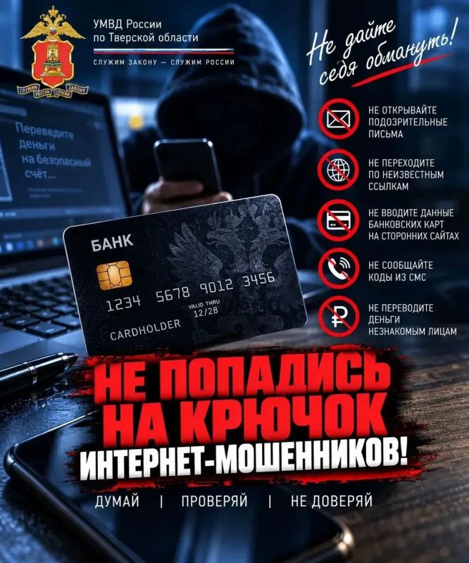Недоброе дело: под видом вознаграждения за найденную кошку мошенники выманили деньги у жительницы Кашина
