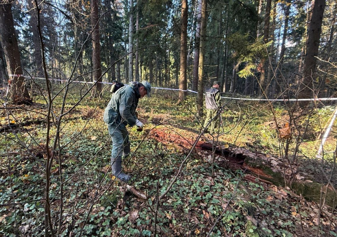 Останки замученных нацистами пациентов психиатрической больницы обнаружили в Тверской области — в учреждении убили более 1,5 тыс Останки замученных нацистами пациентов психиатрической больницы обнаружили в Тверской области — в учреждении убили более 1,5 тыс