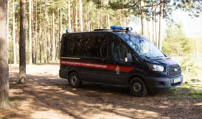 В деревне Почапки Тверской области при пожаре погибла пожилая женщина