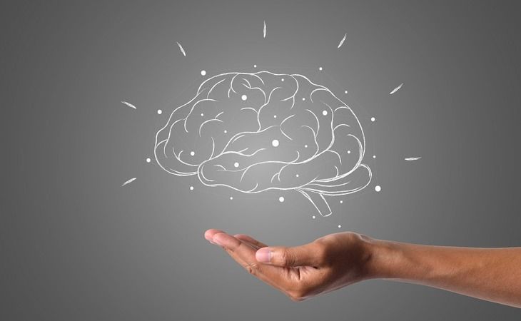 Ешьте это каждый день, чтобы стать умнее: секрет высокого IQ раскрыт