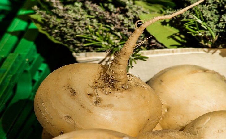 Что случится, если есть репу каждый день