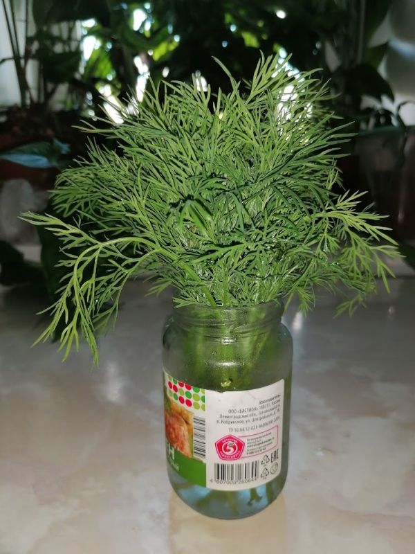Секреты свежести: как сохранить продукты на долгие недели