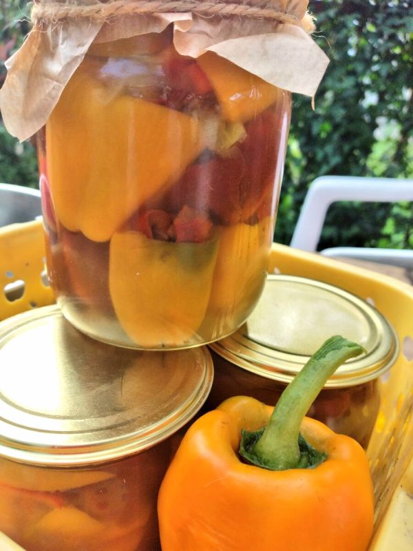 Удивительное сочетание: маринованные перцы с айвой — популярный рецепт для любой кухни