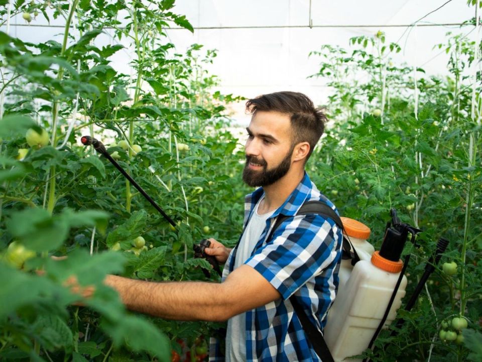 Опасные пестициды: как избежать опасной химии в вашем саду
