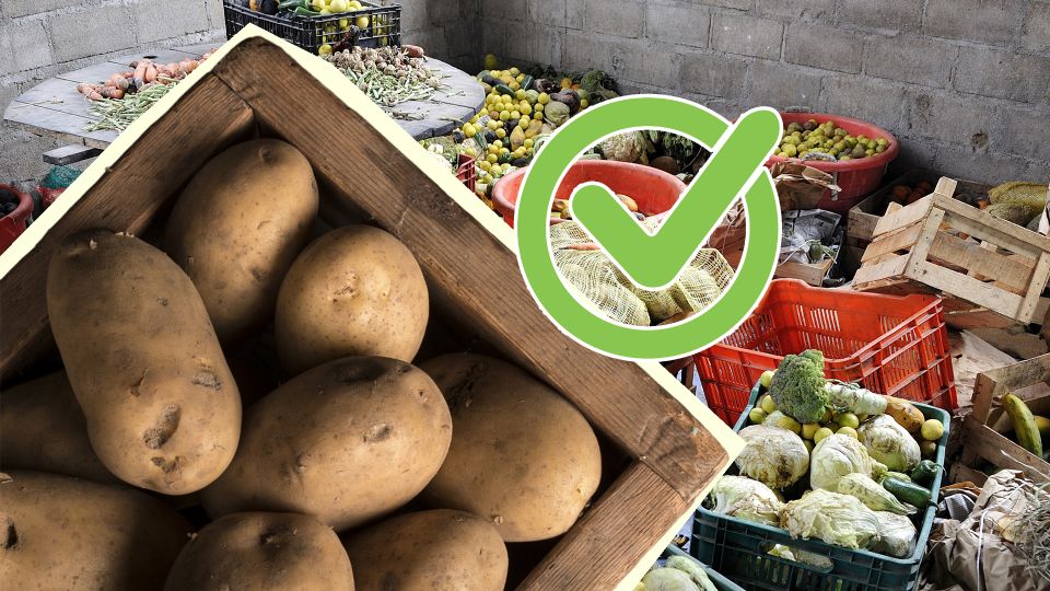 В таком подвале овощи отлично сохранятся до весны: 3 простых условия