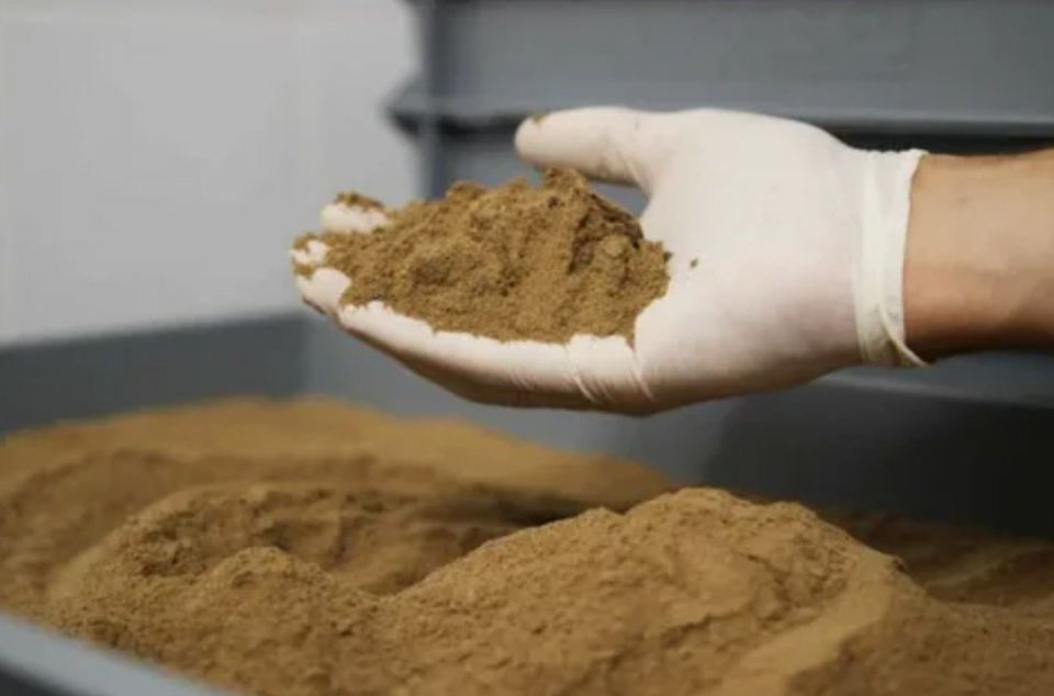 Переработка рыбы: почему заводы нужно строить на море