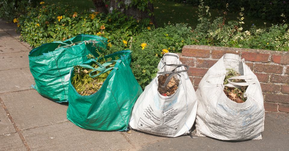 Изменения в сфере вывоза отходов: взгляд на 2025 год