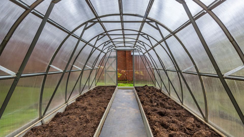 Эффективные методы осенней обработки теплицы: советы по борьбе с вредителями и болезнями