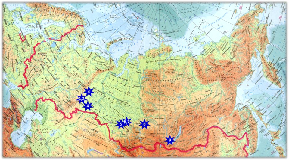 Рододендроны за Уралом: уникальный опыт садоводов