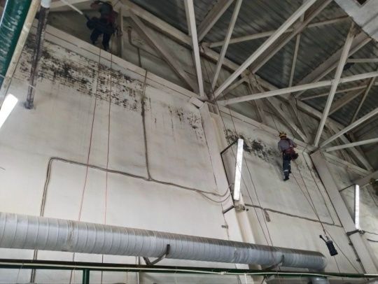 Эффективные методы борьбы с грибком на пищевых производствах: от удаления до покраски