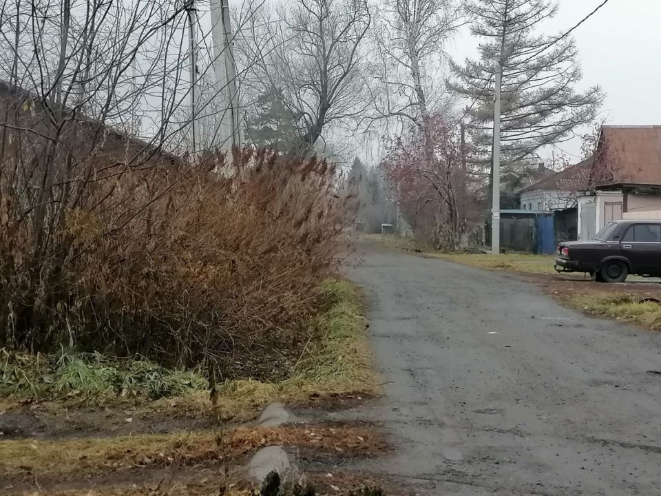 Зимние расклады: как будет выглядеть зима 2025-2026 в разных уголках России?