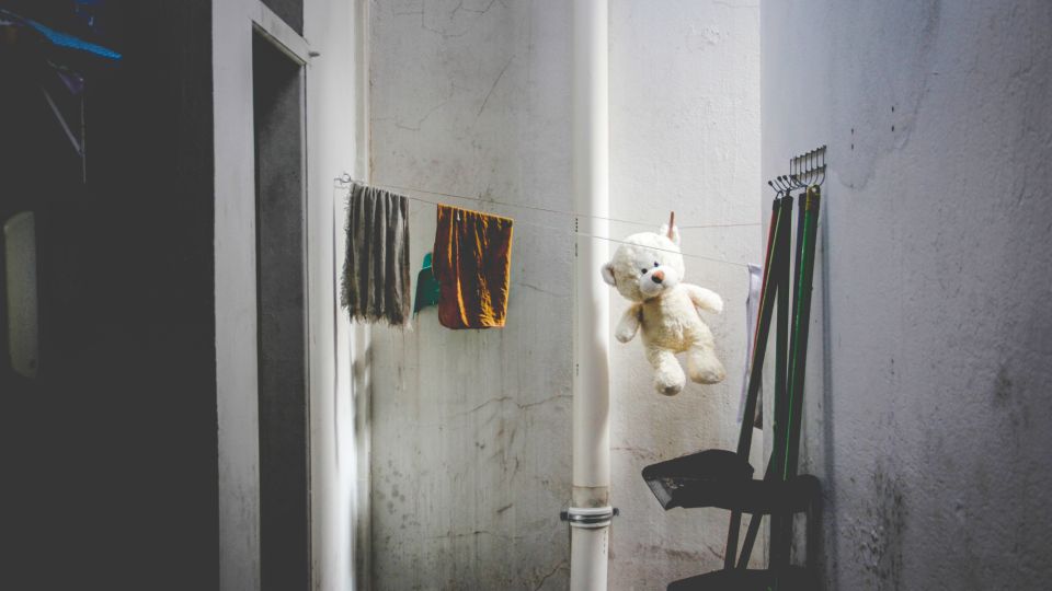 Сложить и забыть: вот как обеззаразить мягкие игрушки без стирки и отпаривания